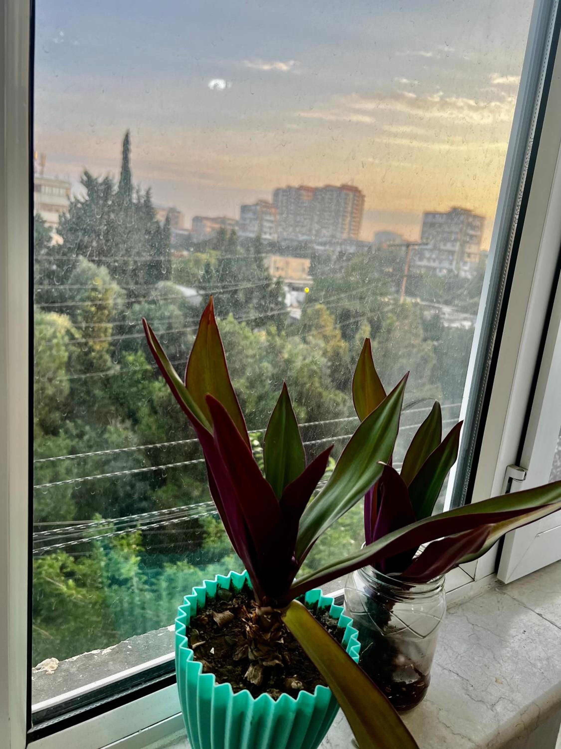 Luxury apartmant