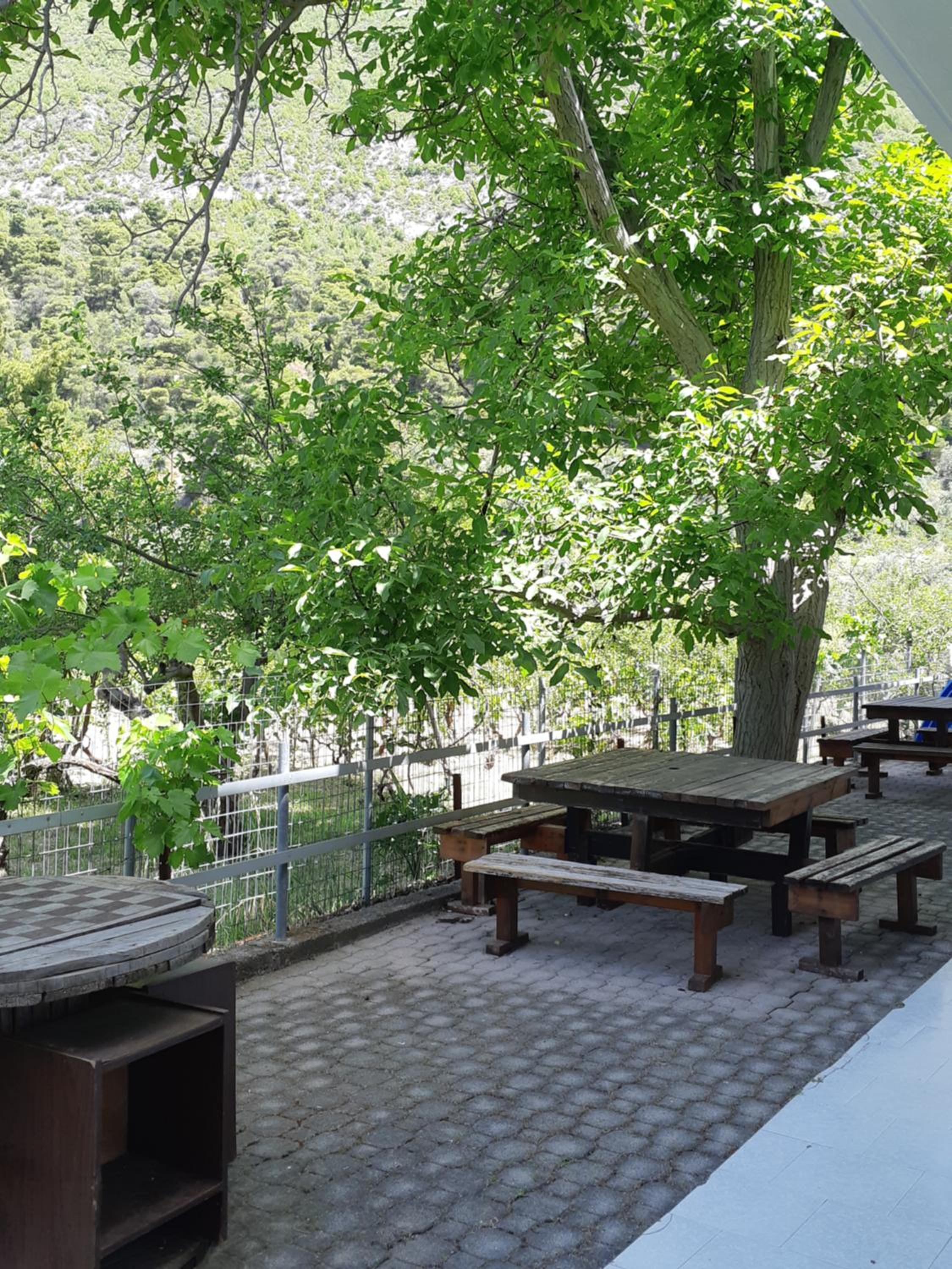 KONTOGIANNIS lihas club 2 view 4