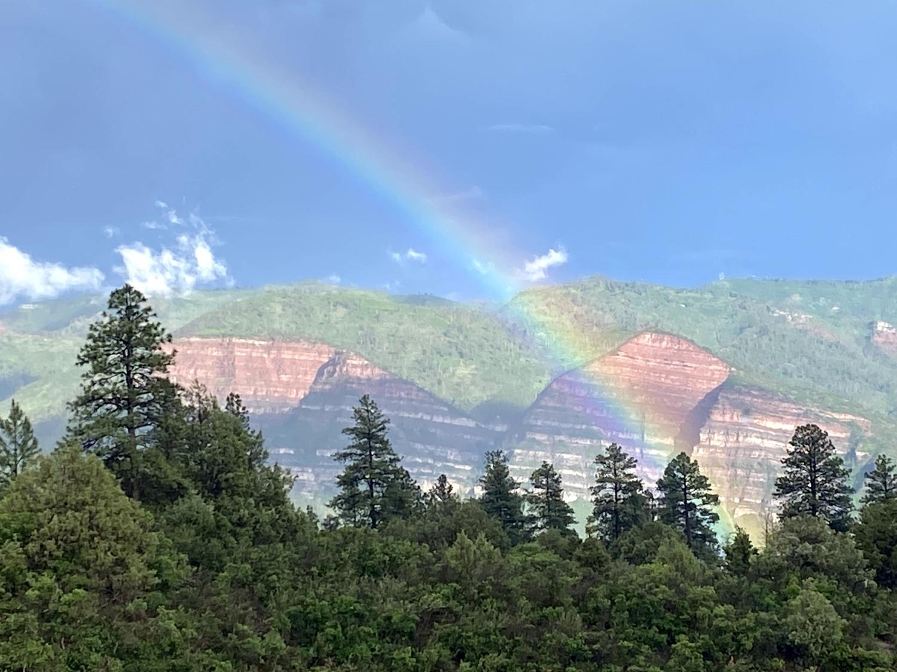Ridgeview Over The Animas view 3