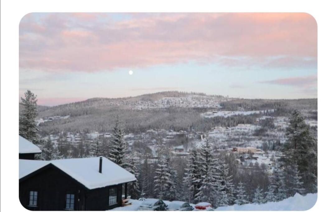 Ski inn ski ut leilighet view 2