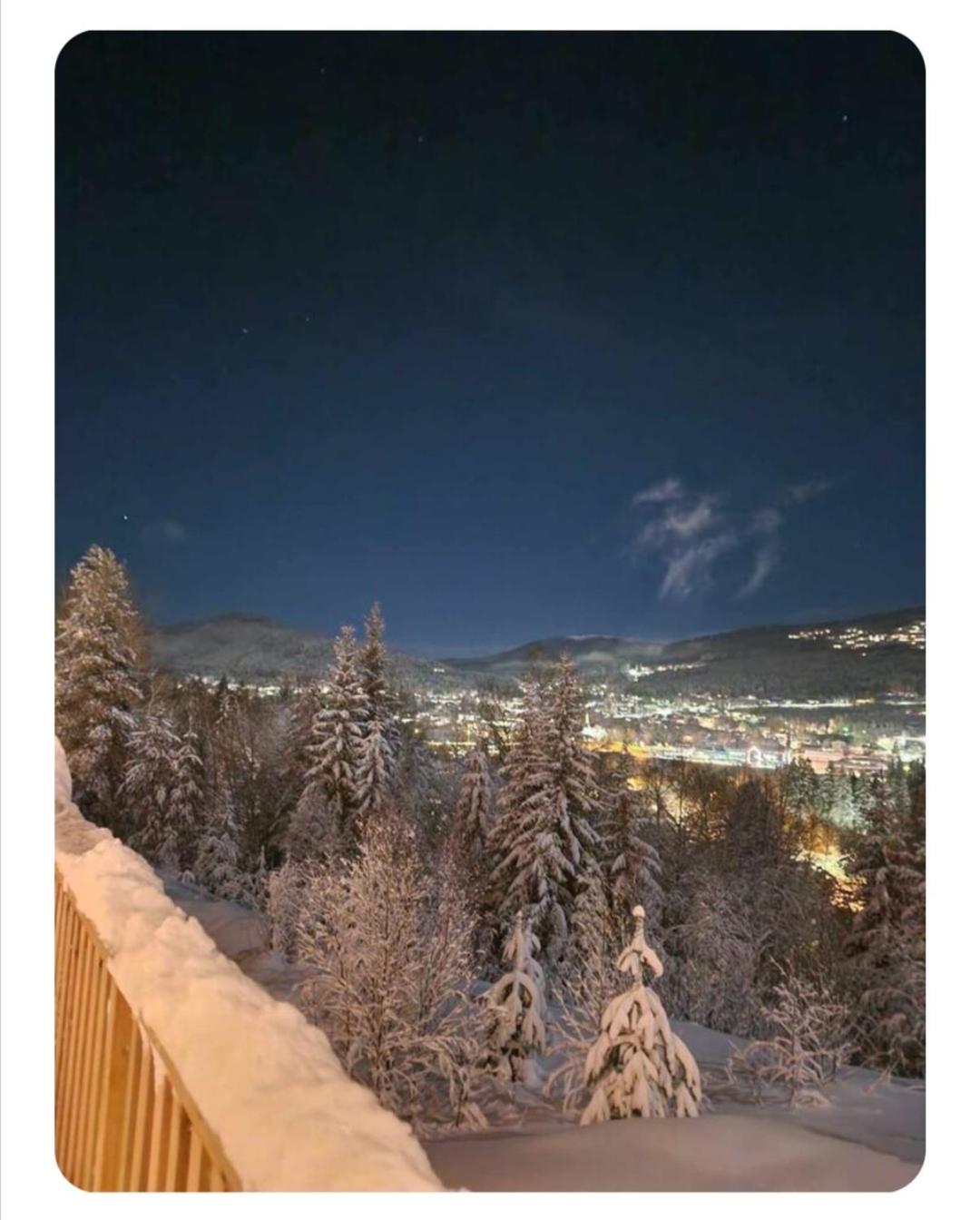 Ski inn ski ut leilighet view 3