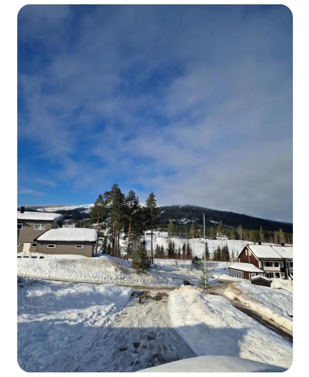 Ski inn ski ut leilighet view 5