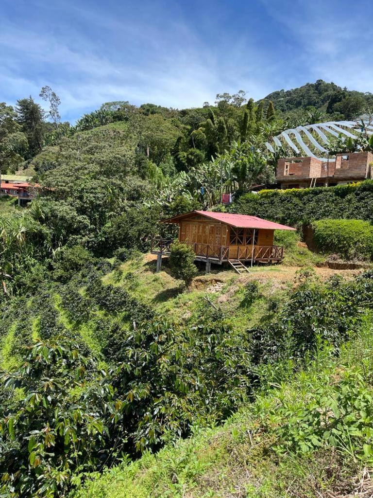 Finca Milena Jardin Antioquía