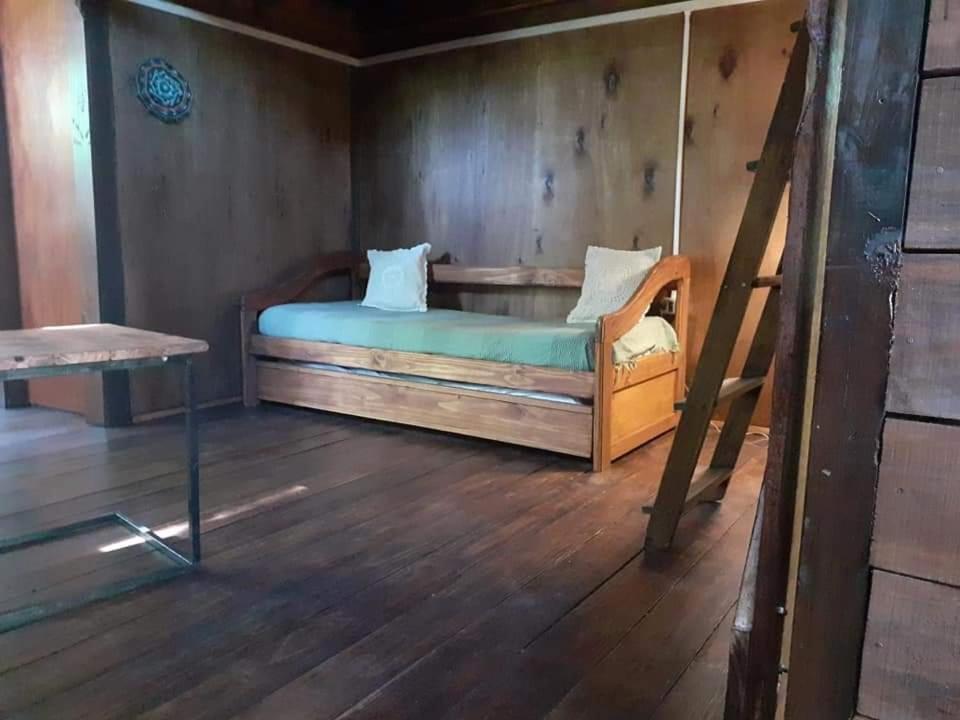 El zorzal