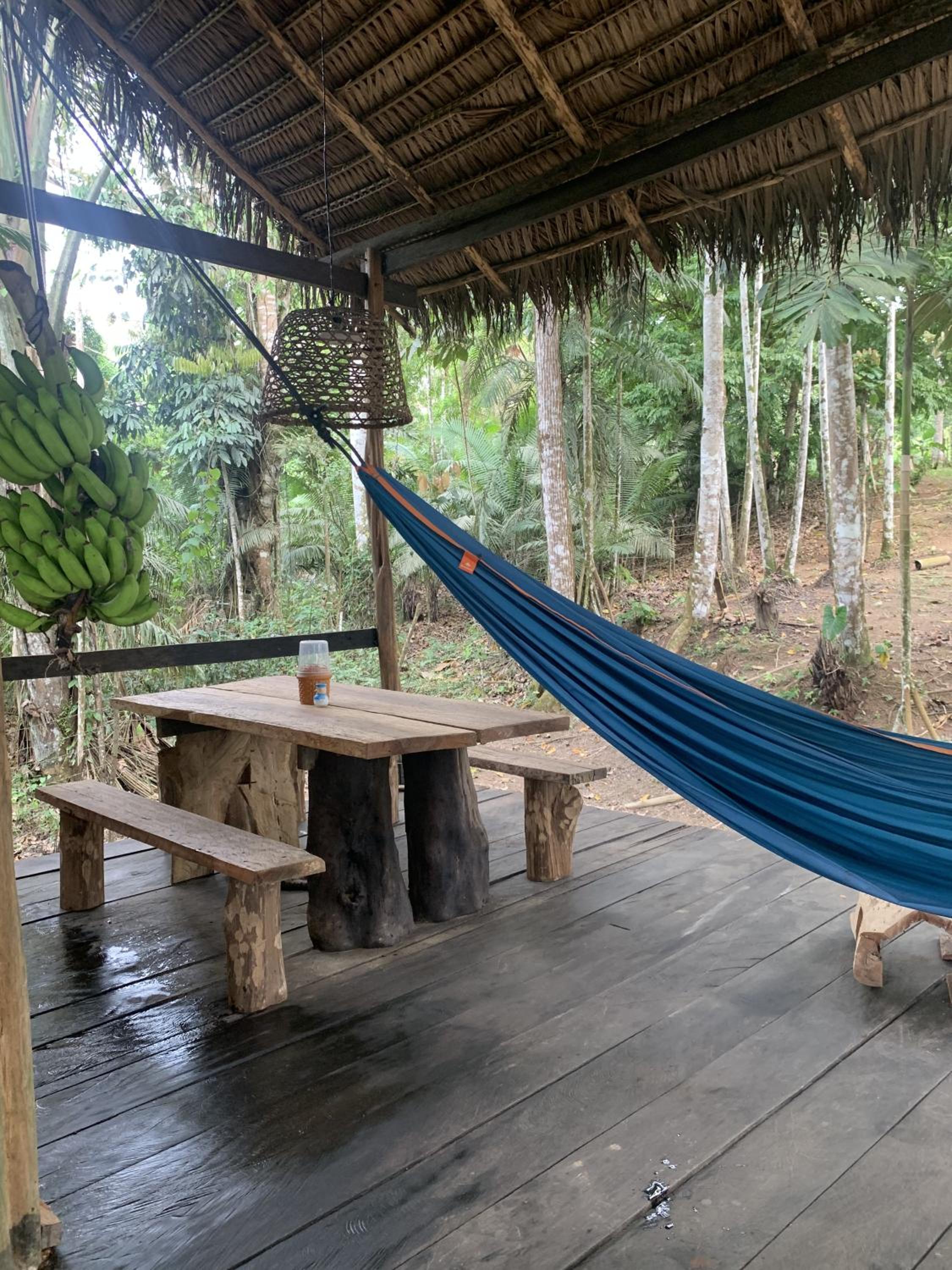 Jungle Cabin - Satori Natural