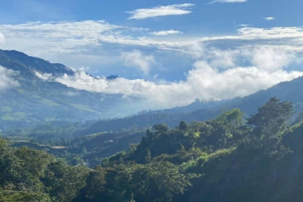 Incredible Colombian Coffee farm Finca Milena #2