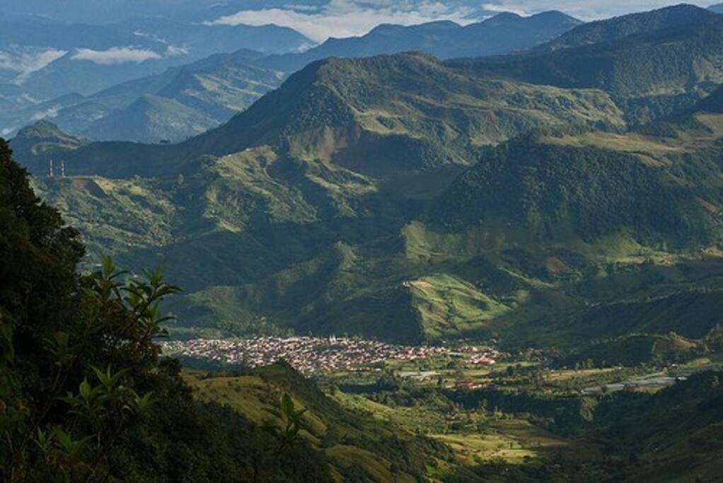 Incredible Colombian Coffee farm Finca Milena #2
