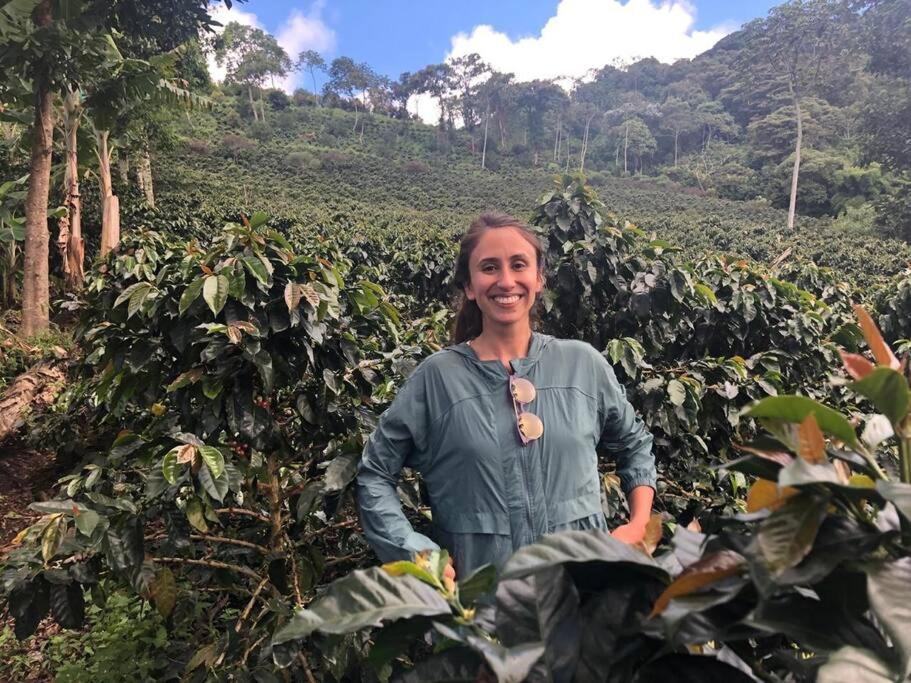Incredible Colombian Coffee farm Finca Milena #2