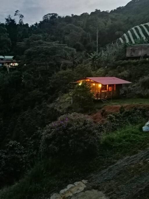 Incredible Colombian Coffee farm Finca Milena #2