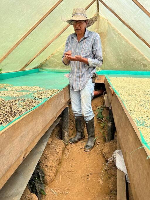Incredible Colombian Coffee farm Finca Milena #2