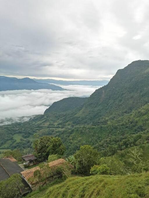 Incredible Colombian Coffee farm Finca Milena #2