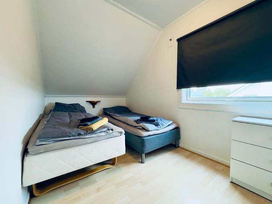 Aurora apartment