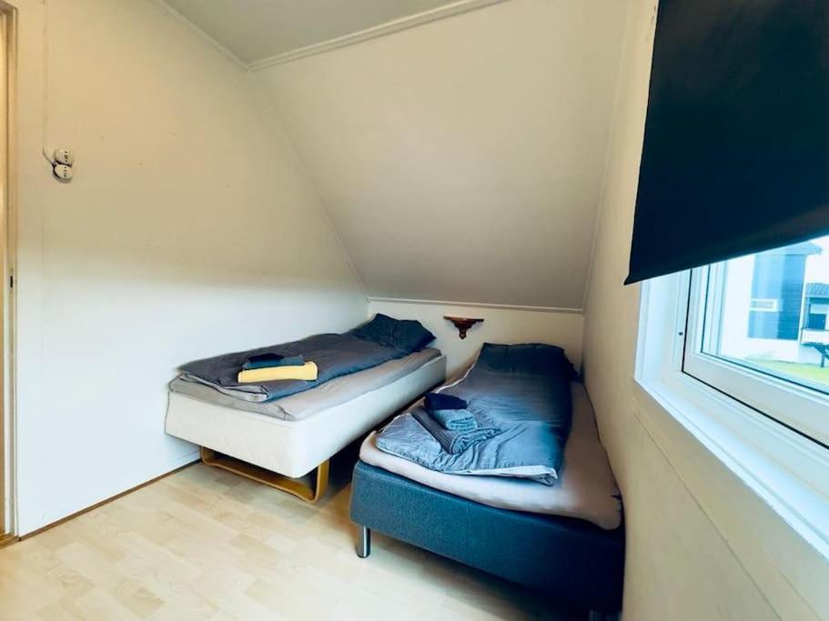 Aurora apartment