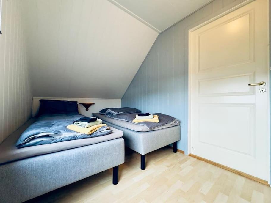Aurora apartment