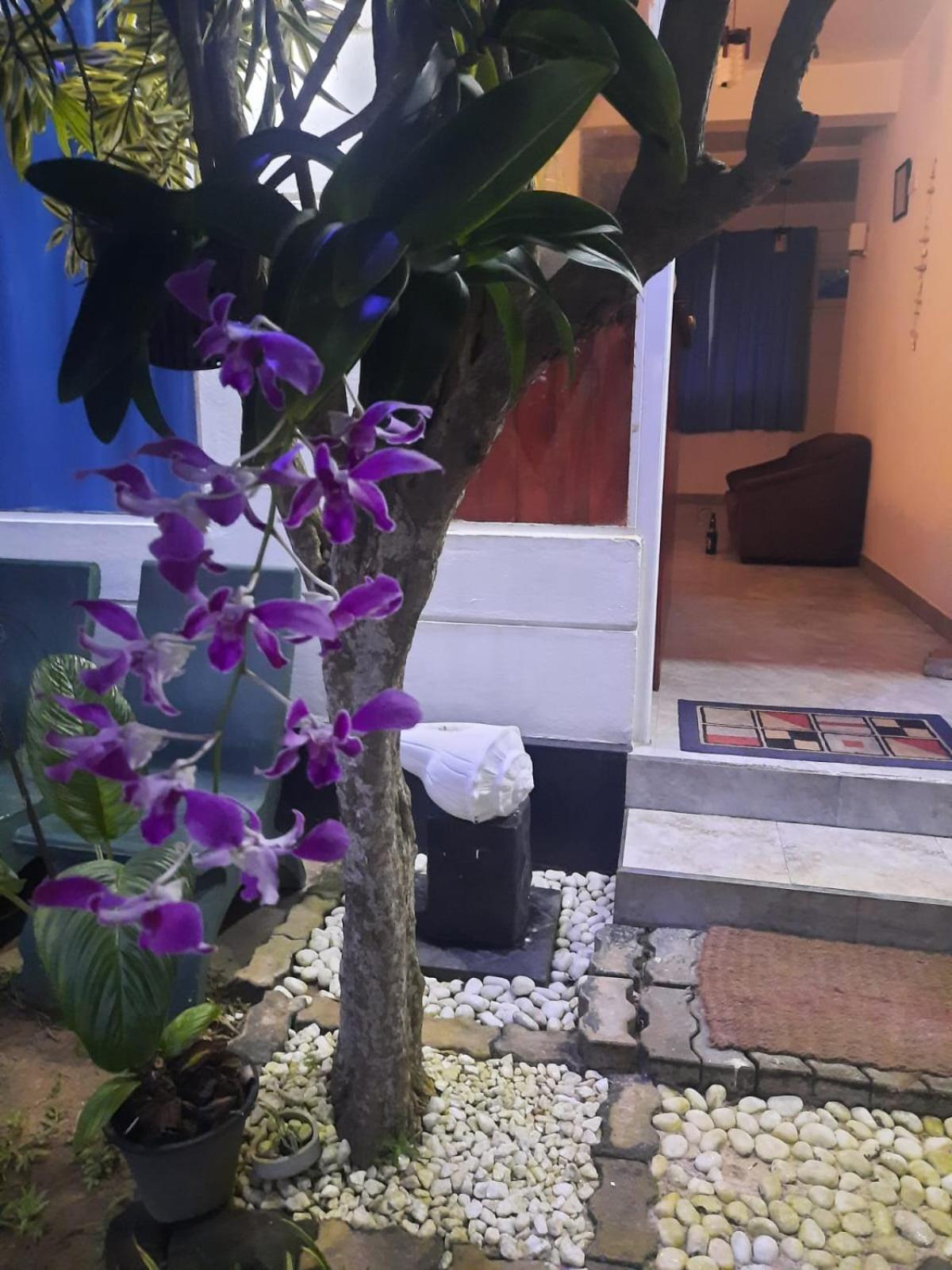 White Surfing Beach Resort view 5