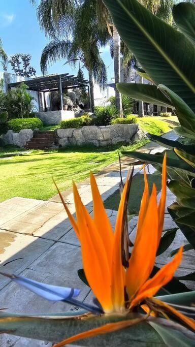 Residencia Cancun