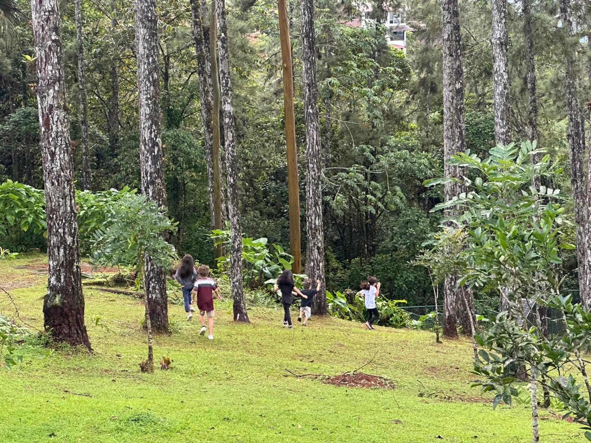 Cerro Azul Mountain Retreat view 2