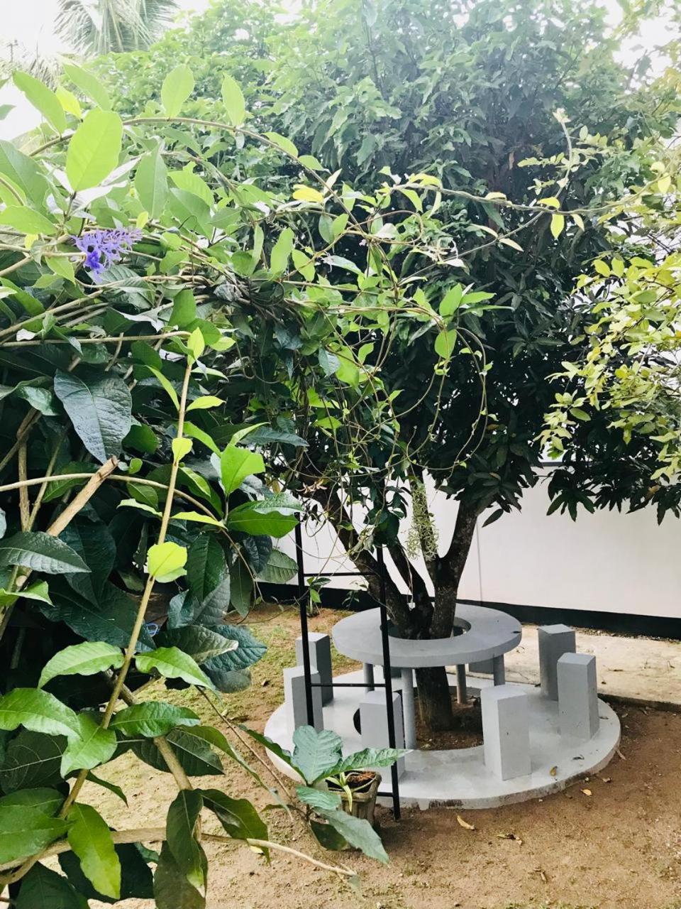 Bandula Home Stay view 3