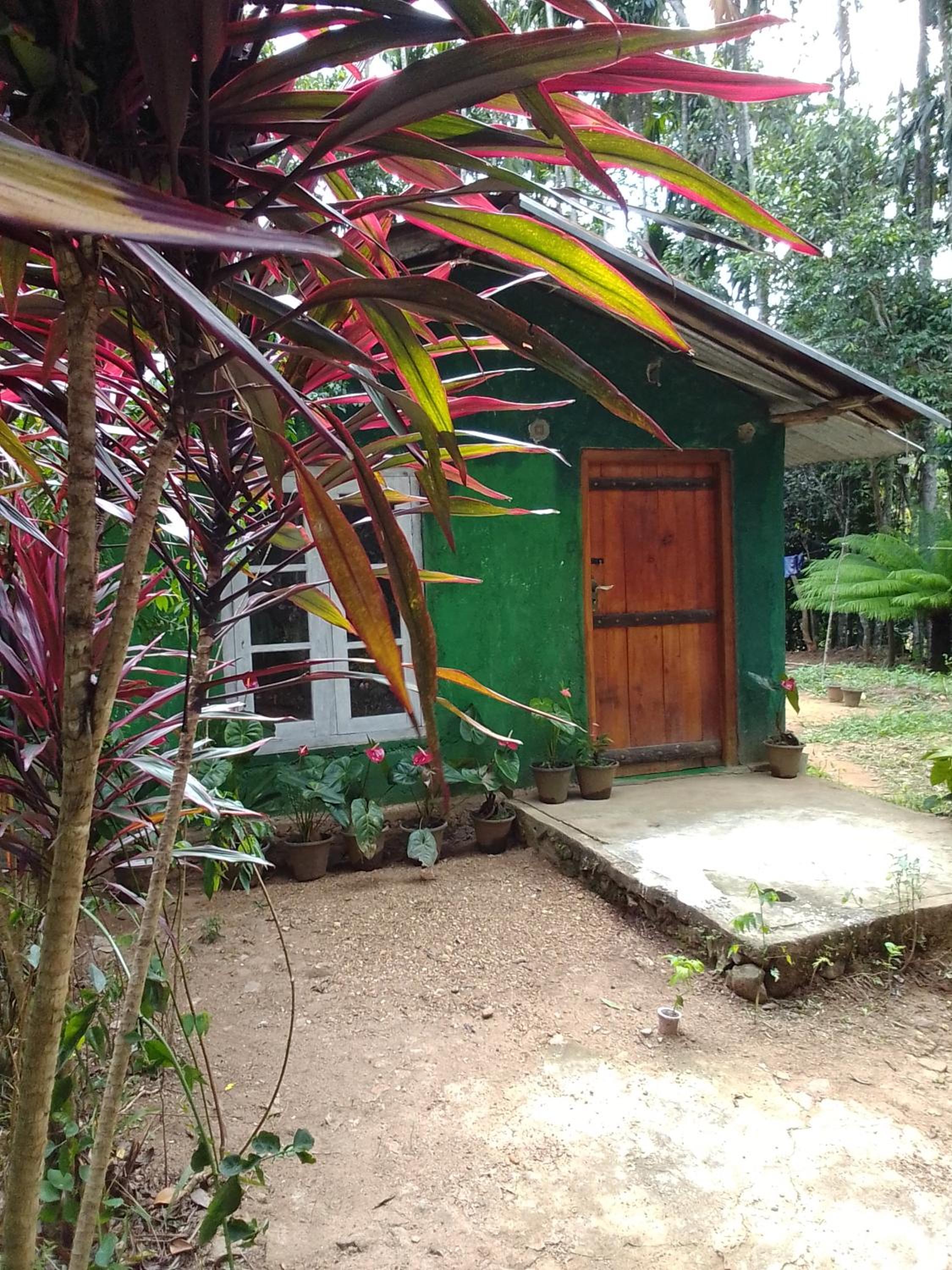 kapi wild cottage Ella view 4