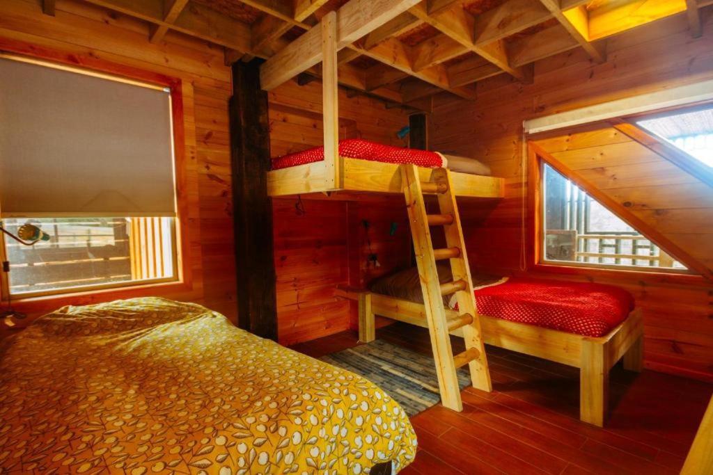 Sirena Insolente Hostel & Suites