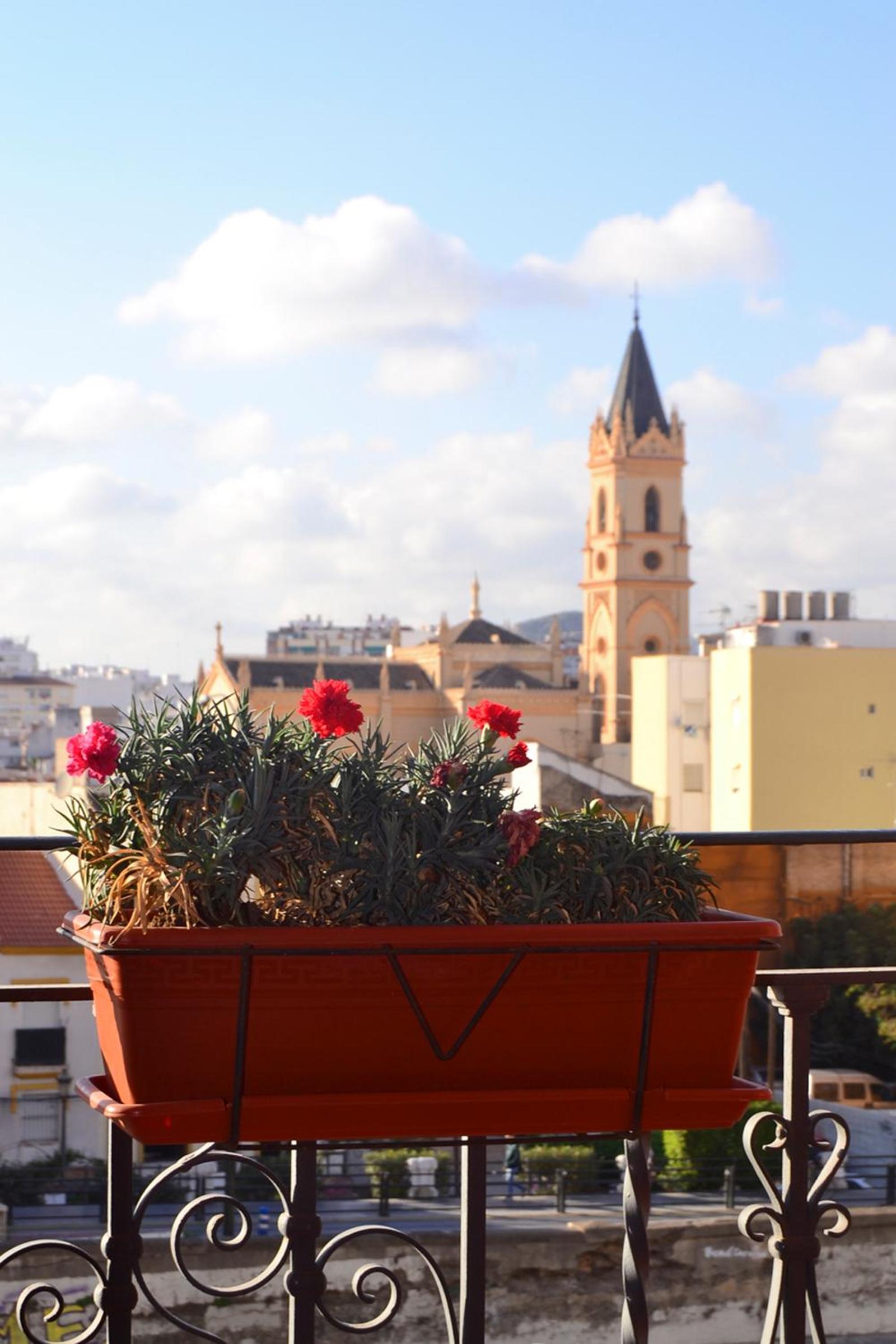 Ole Málaga