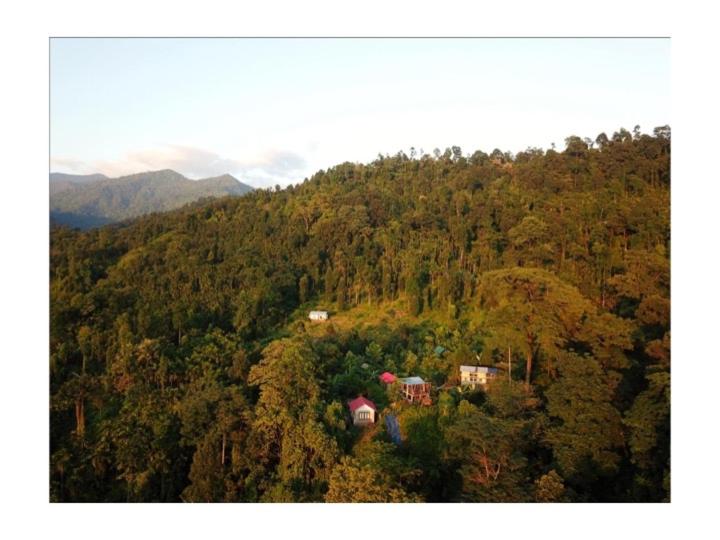 Petrichor Forest Retreat view 3