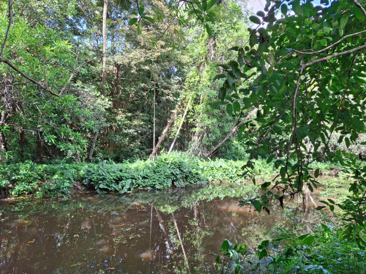 Debaraliyadda Estate