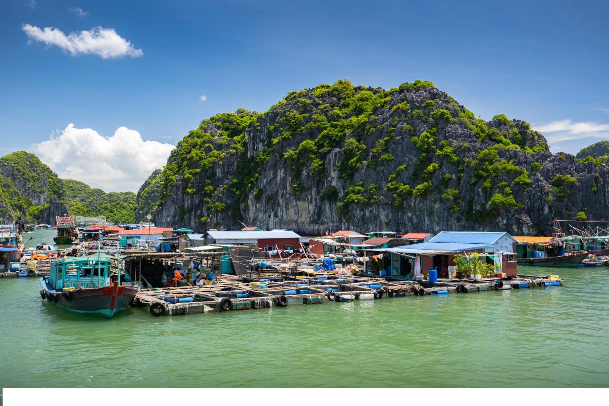 Cat Ba Cruise