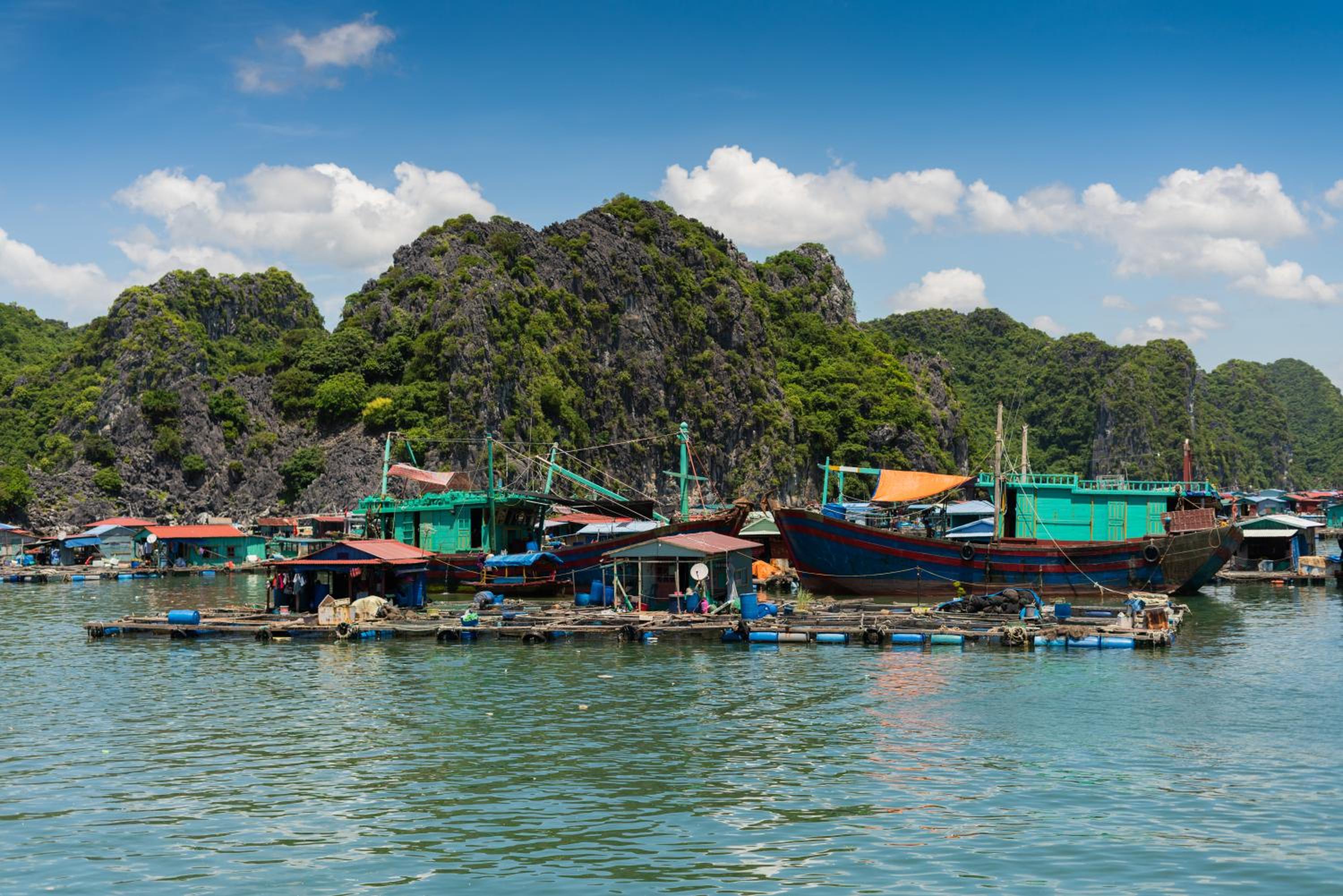 Cat Ba Cruise