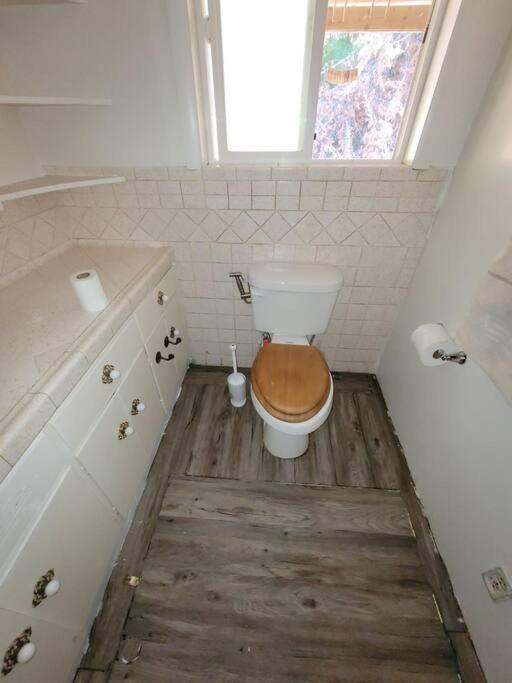 Photo 46