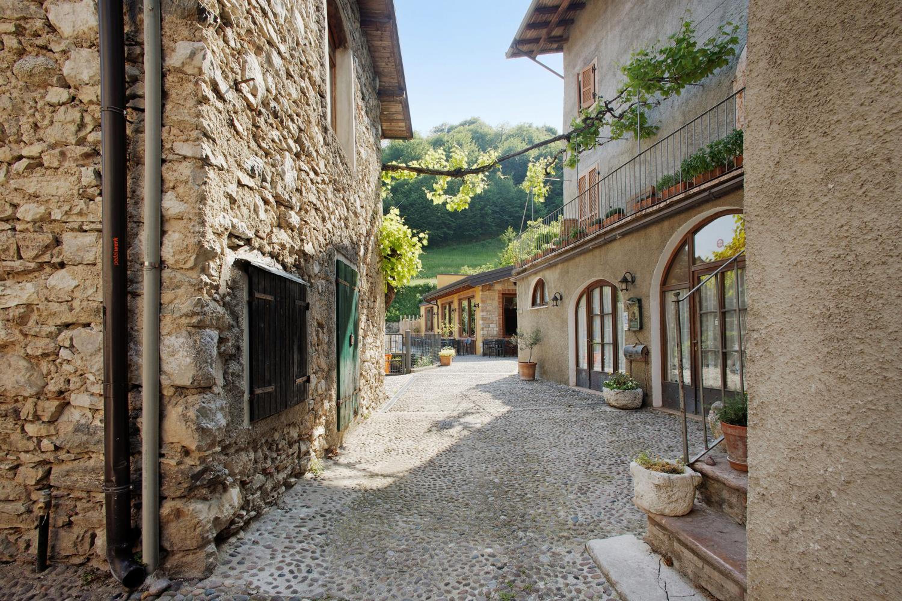 Casa Oliva