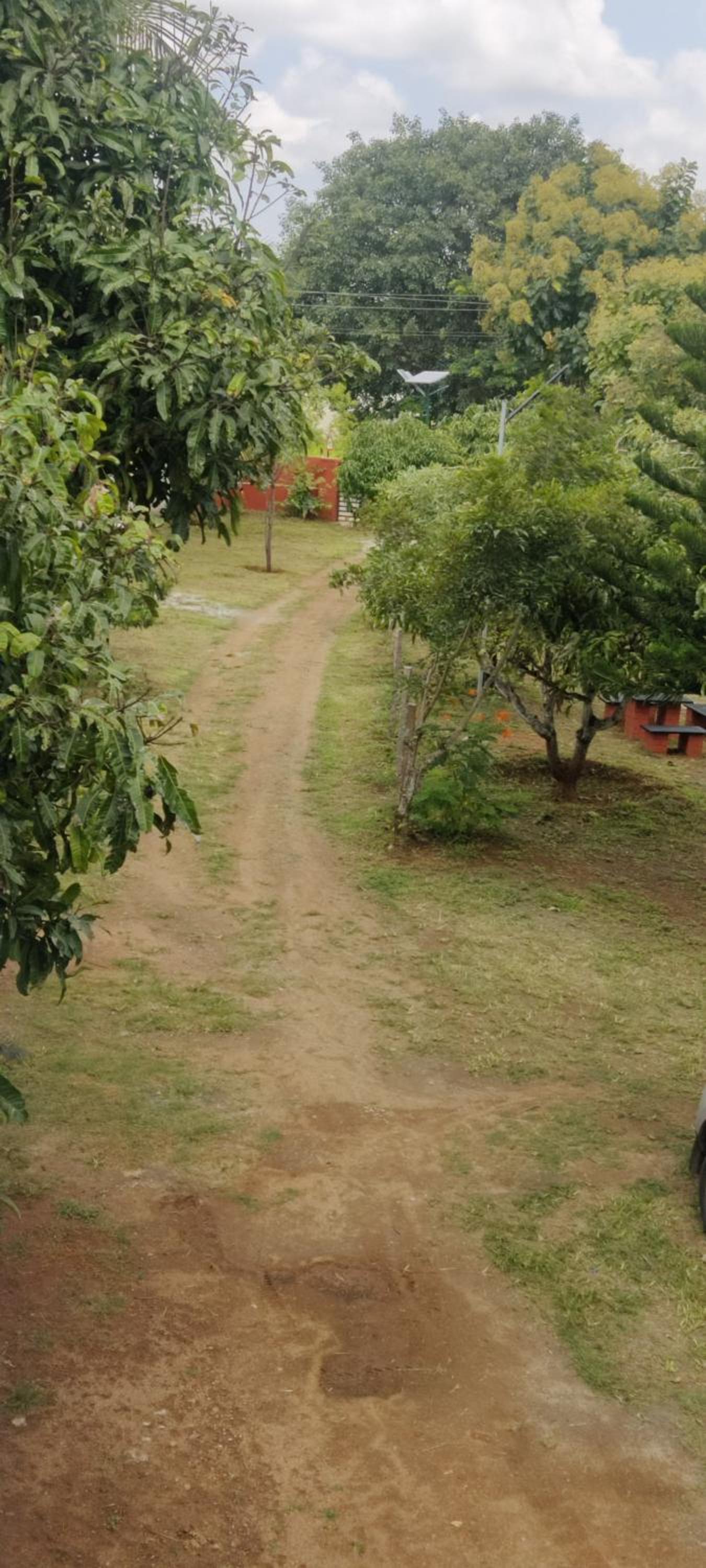 Aastha homestay