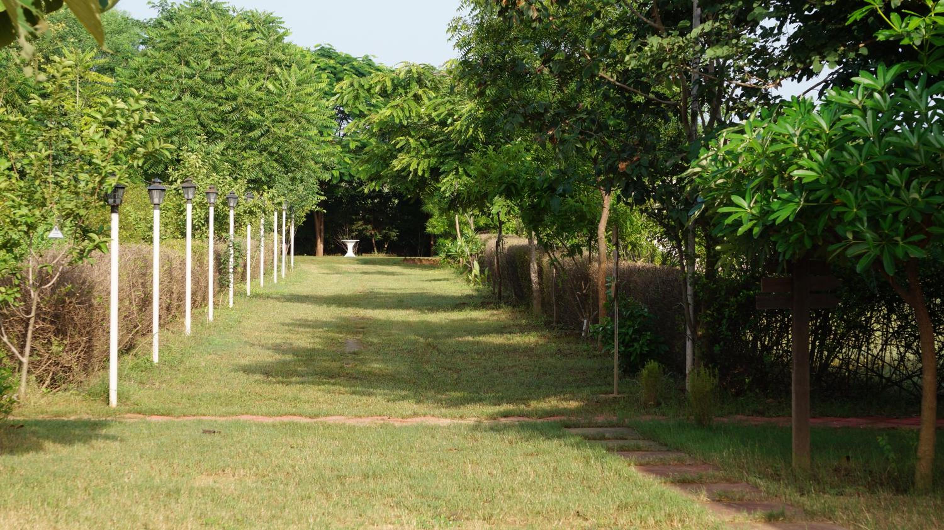 Hotel Wow - Relish in the Wild, Lakeside location, Nearest to Sariska Entry Gate 10KM