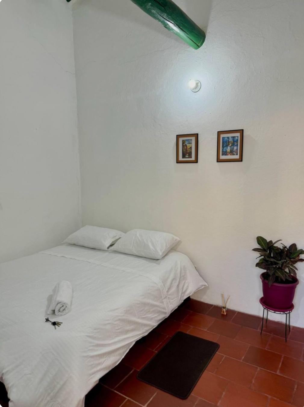Casa familiar - Cerca a la Plaza - Amplio Jardín