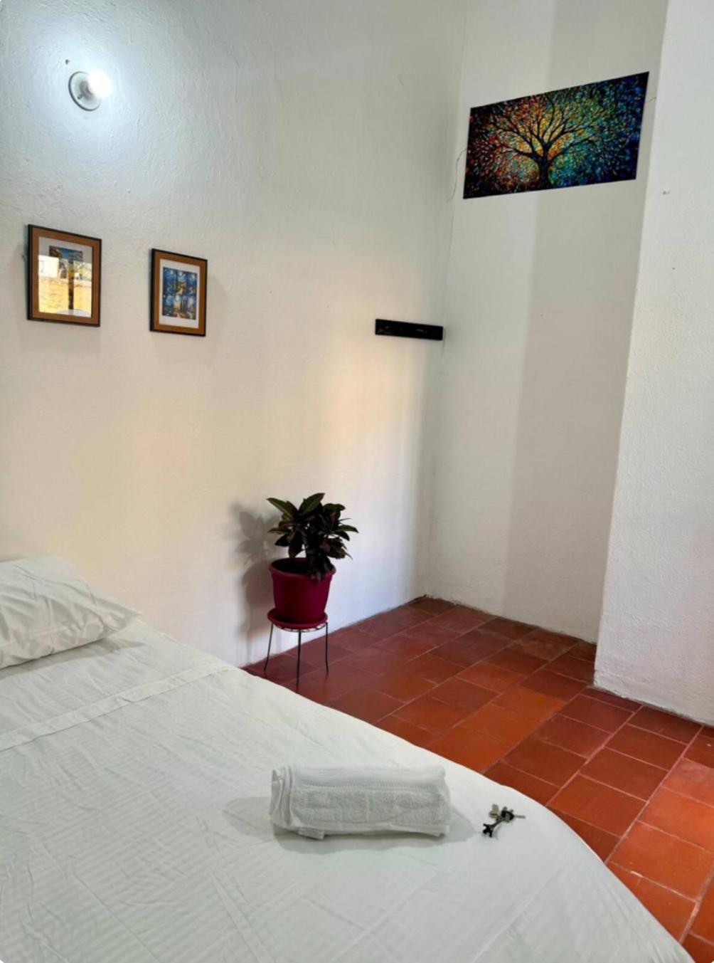 Casa familiar - Cerca a la Plaza - Amplio Jardín