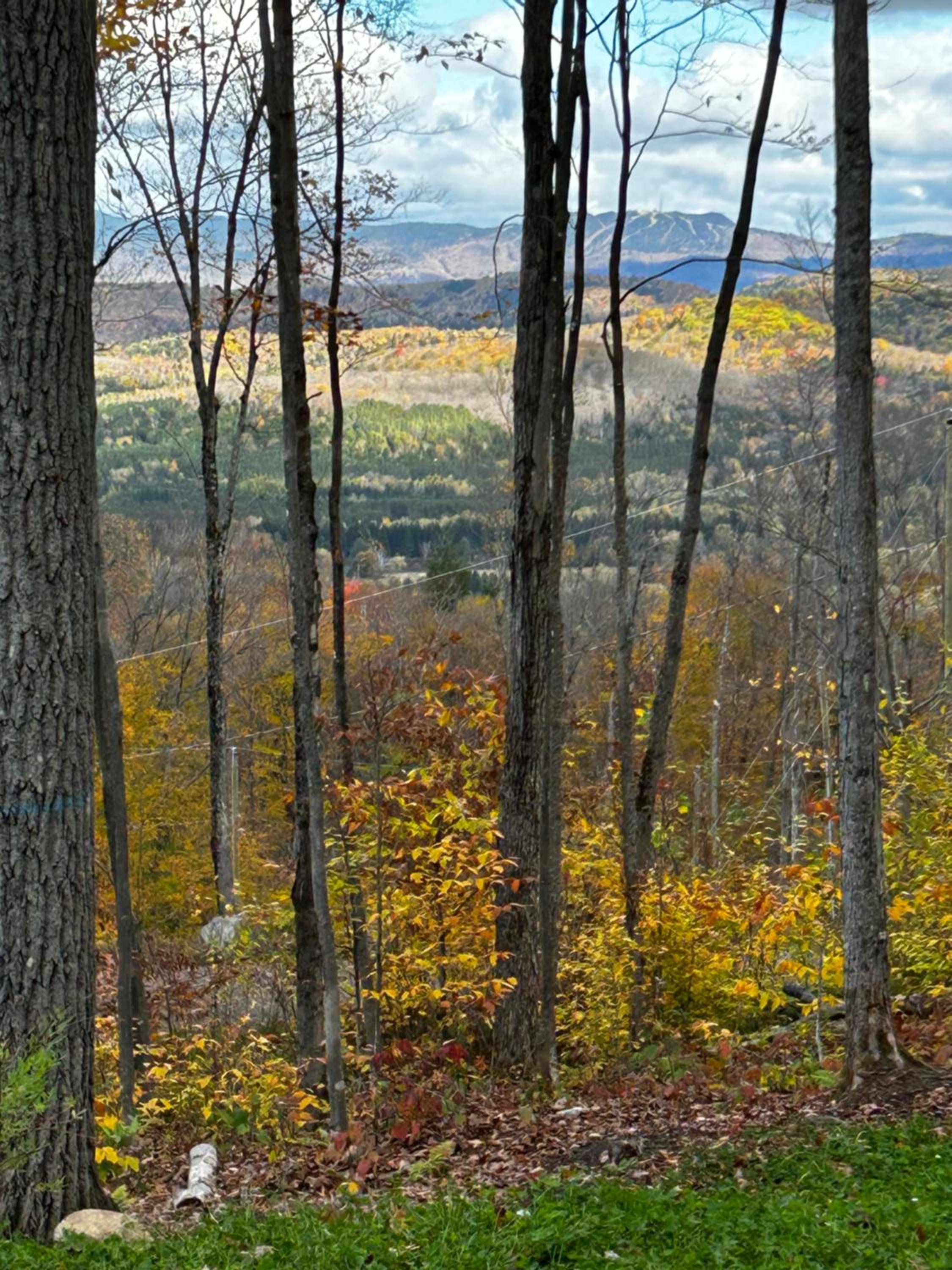 Luxury Mountain Retreat with Spa Near Mont Tremblant