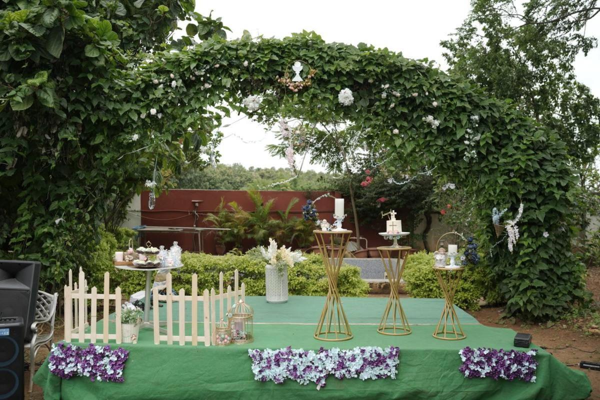 Nest Holidays Homestay view 3