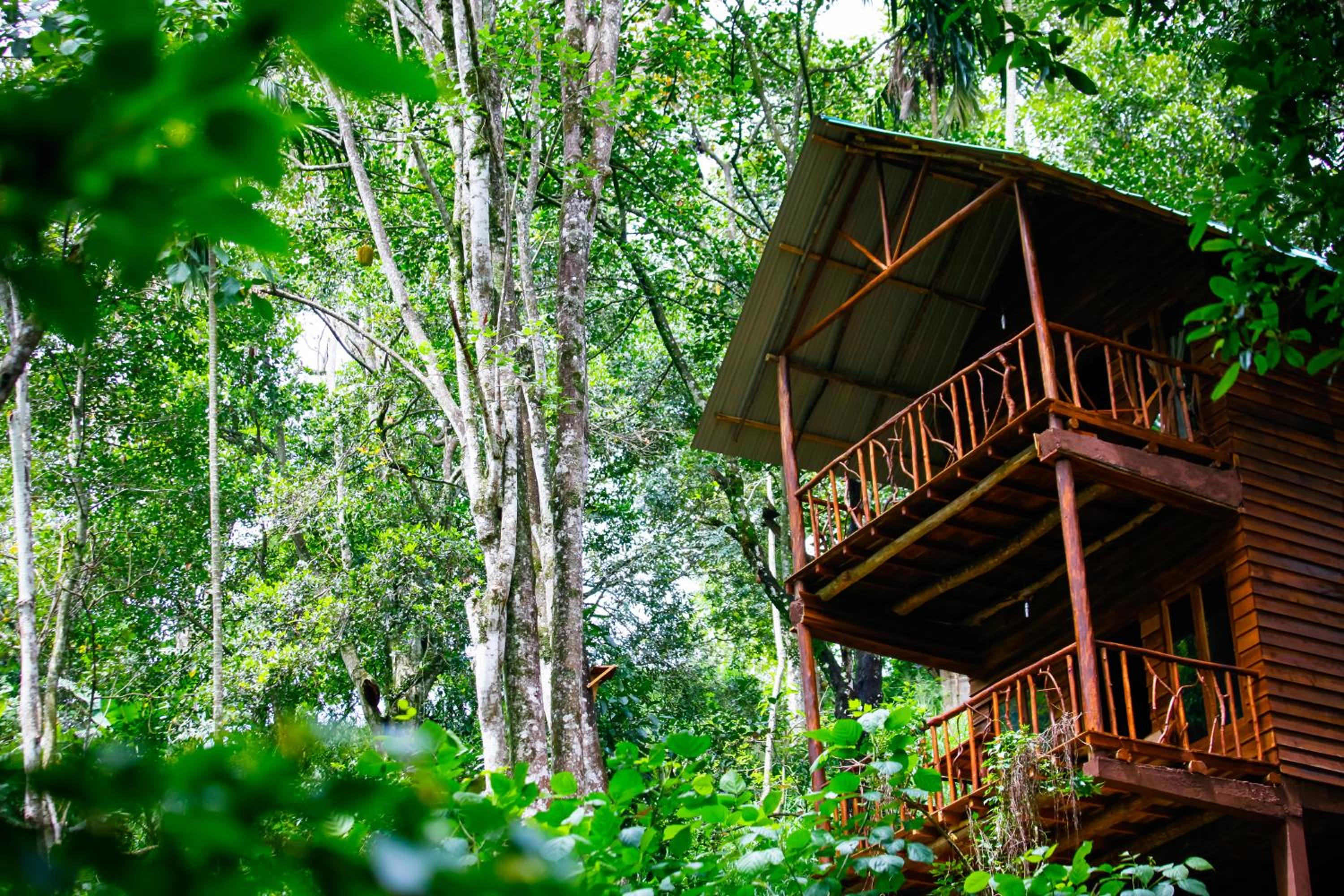 ELLA Eco Lodge, Wellness & Yoga retreat