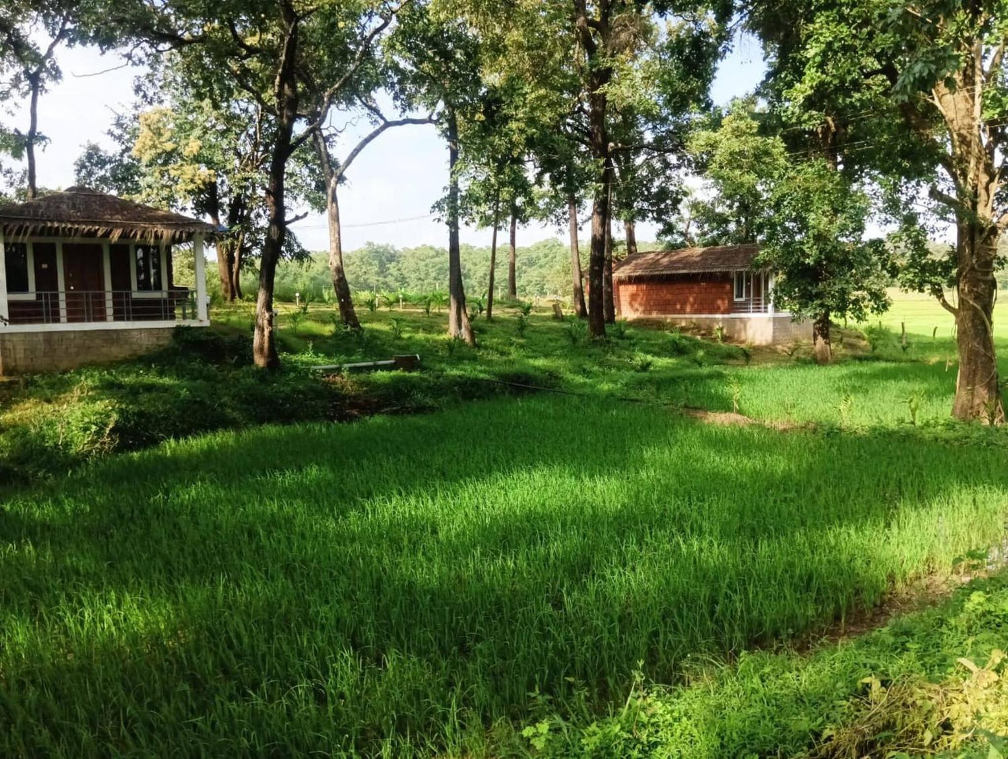 Room in BB - Cottage In Farm House Dandeli view 2
