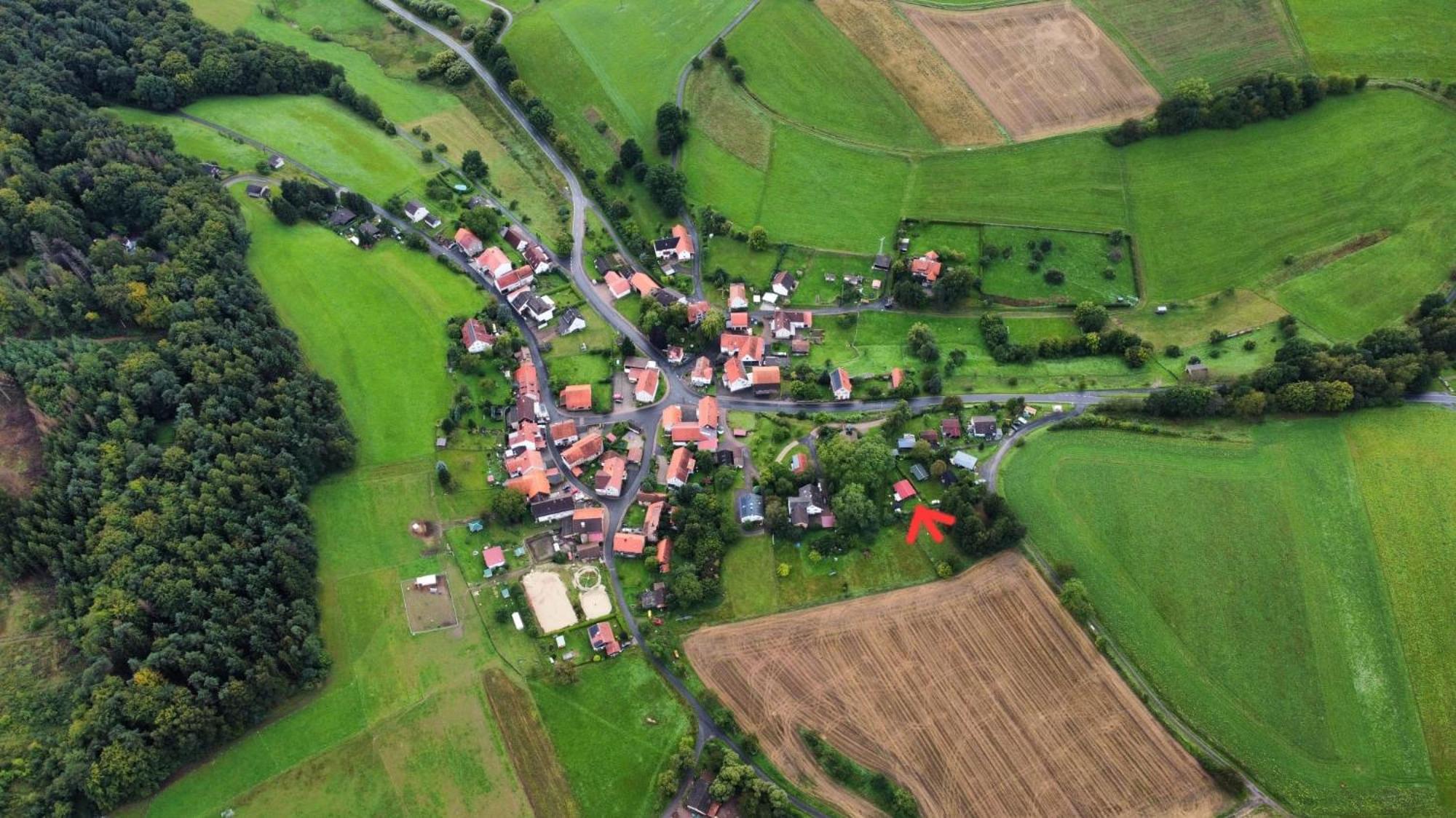 Ferienhaus Waldgefluester
