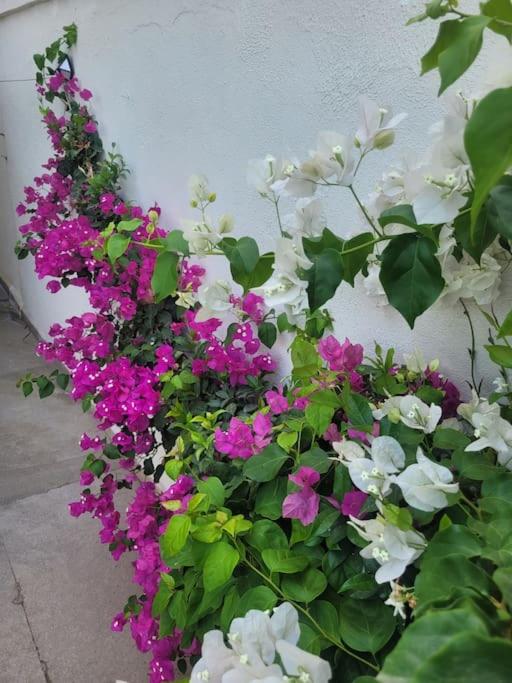 Photo 46