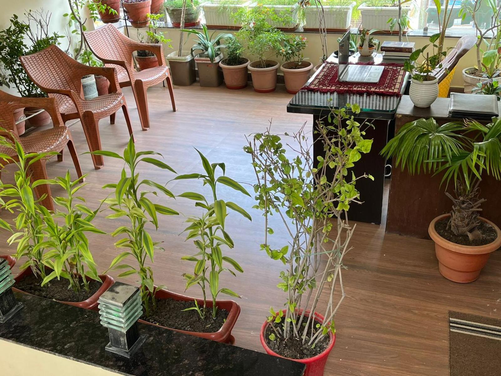 Hotel SHIVASHRAY Luxury Stays & Inn view 3