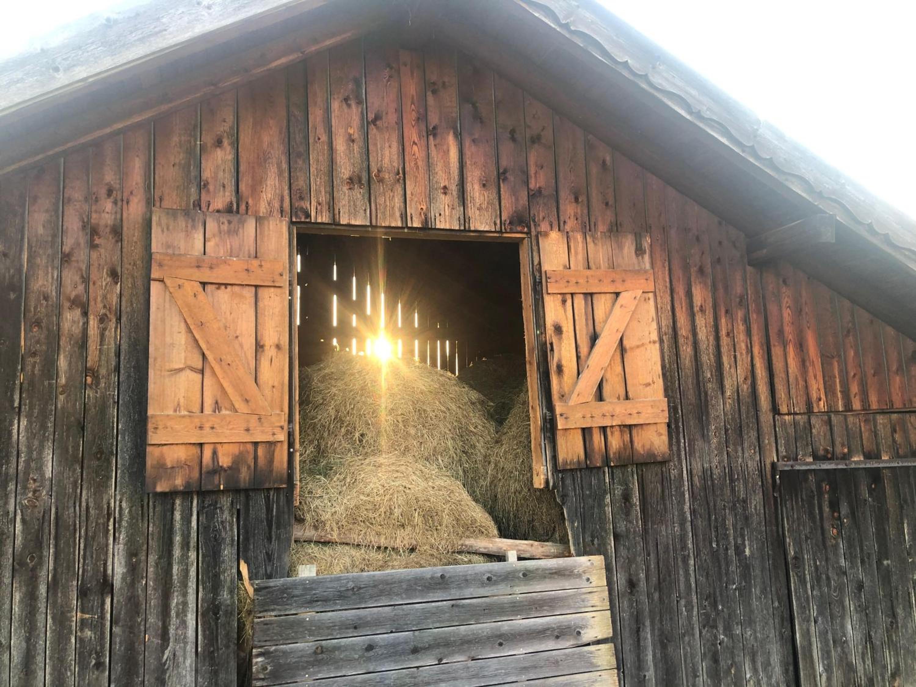 Ferienwohnung Theresia