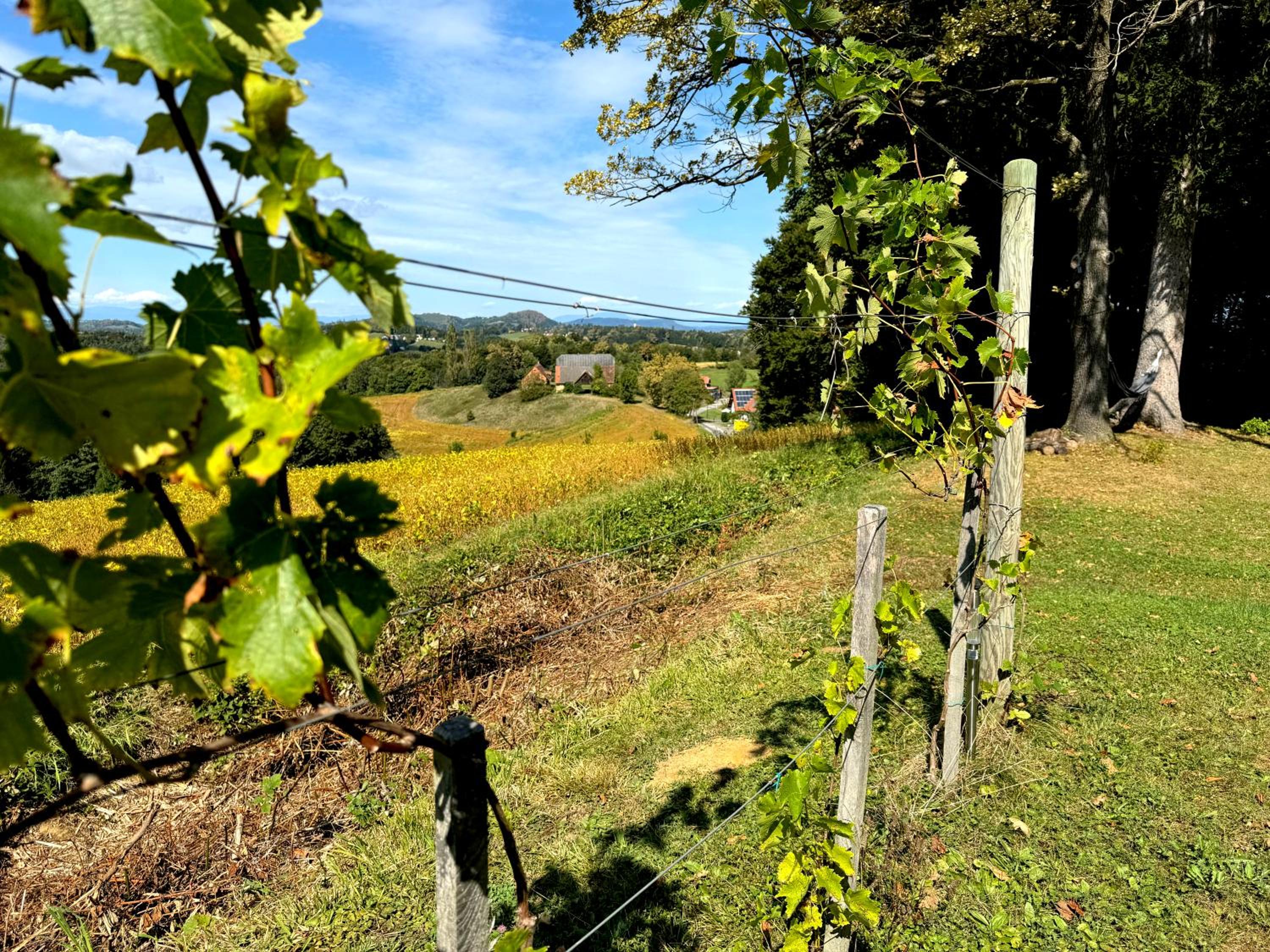 other
