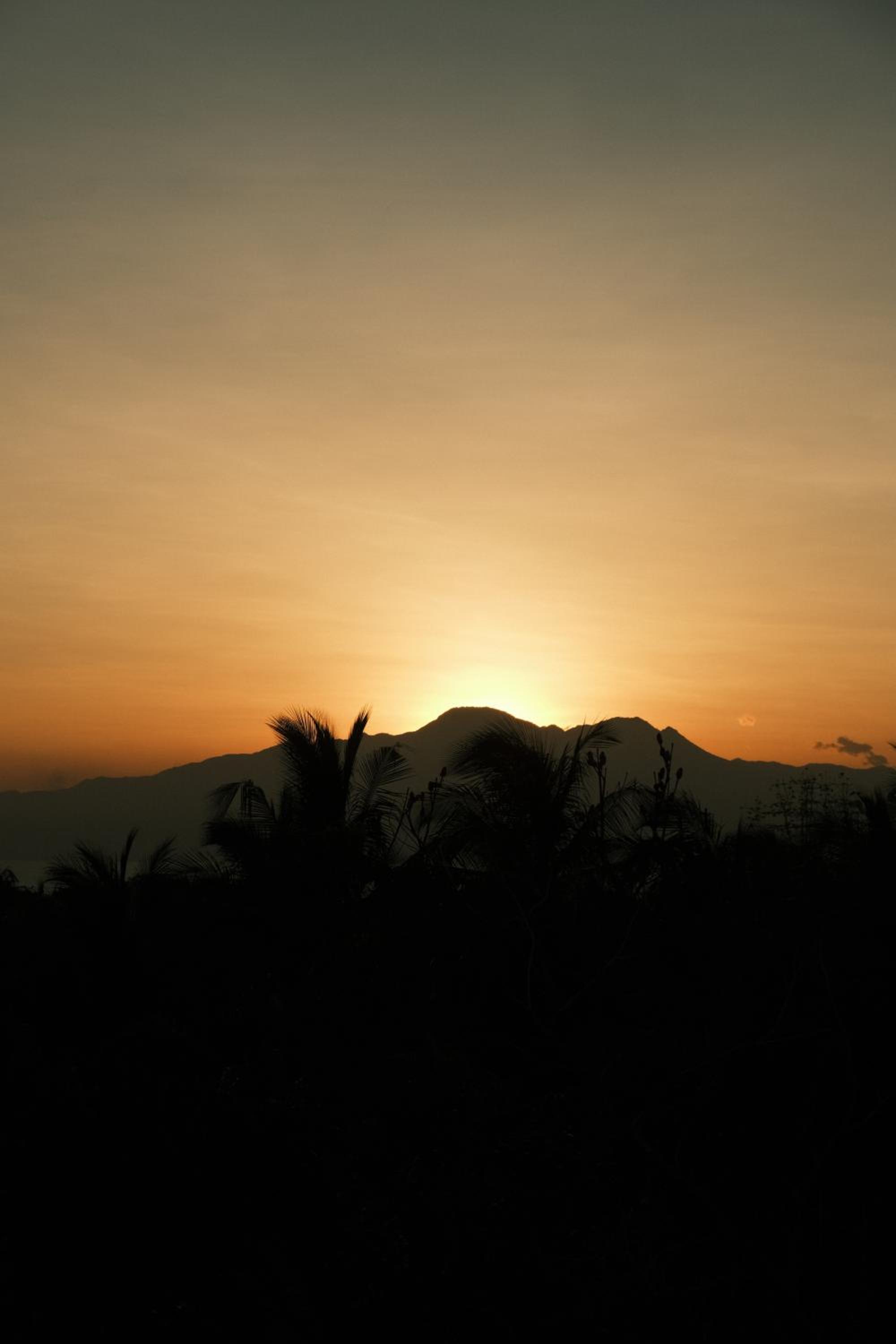 Jungle KingDomes Guest House view 4