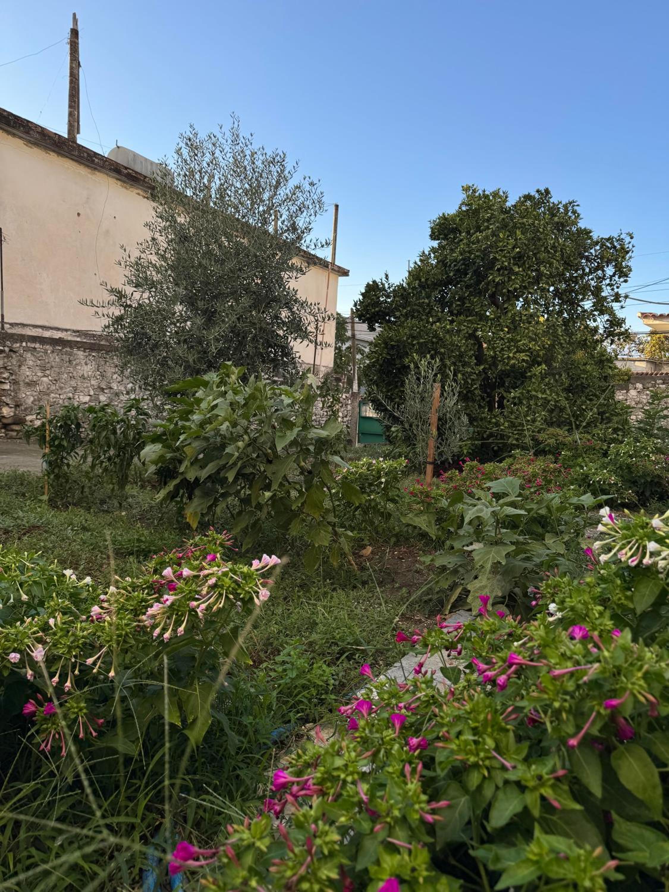 Ardjon House
