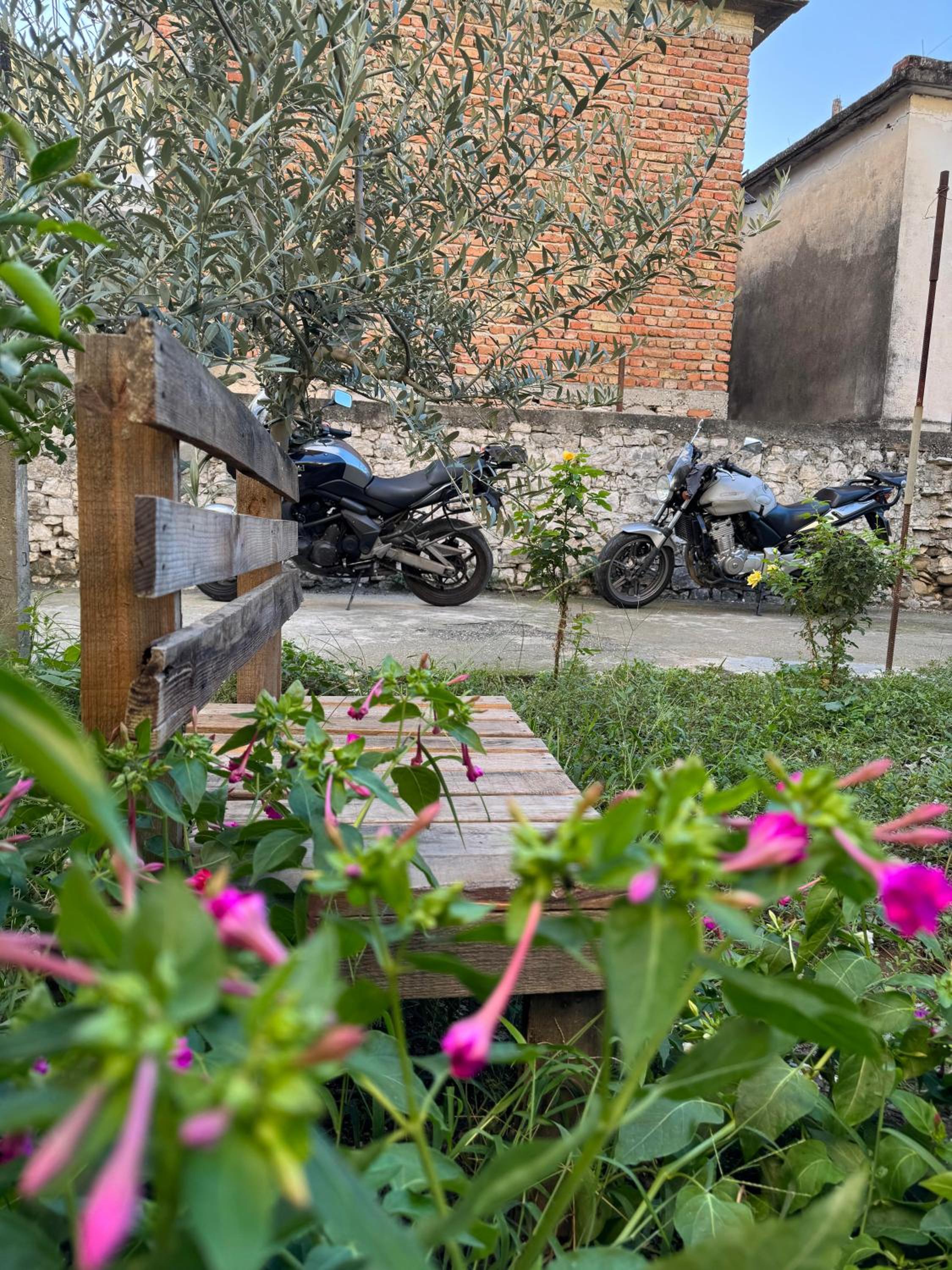 Ardjon House