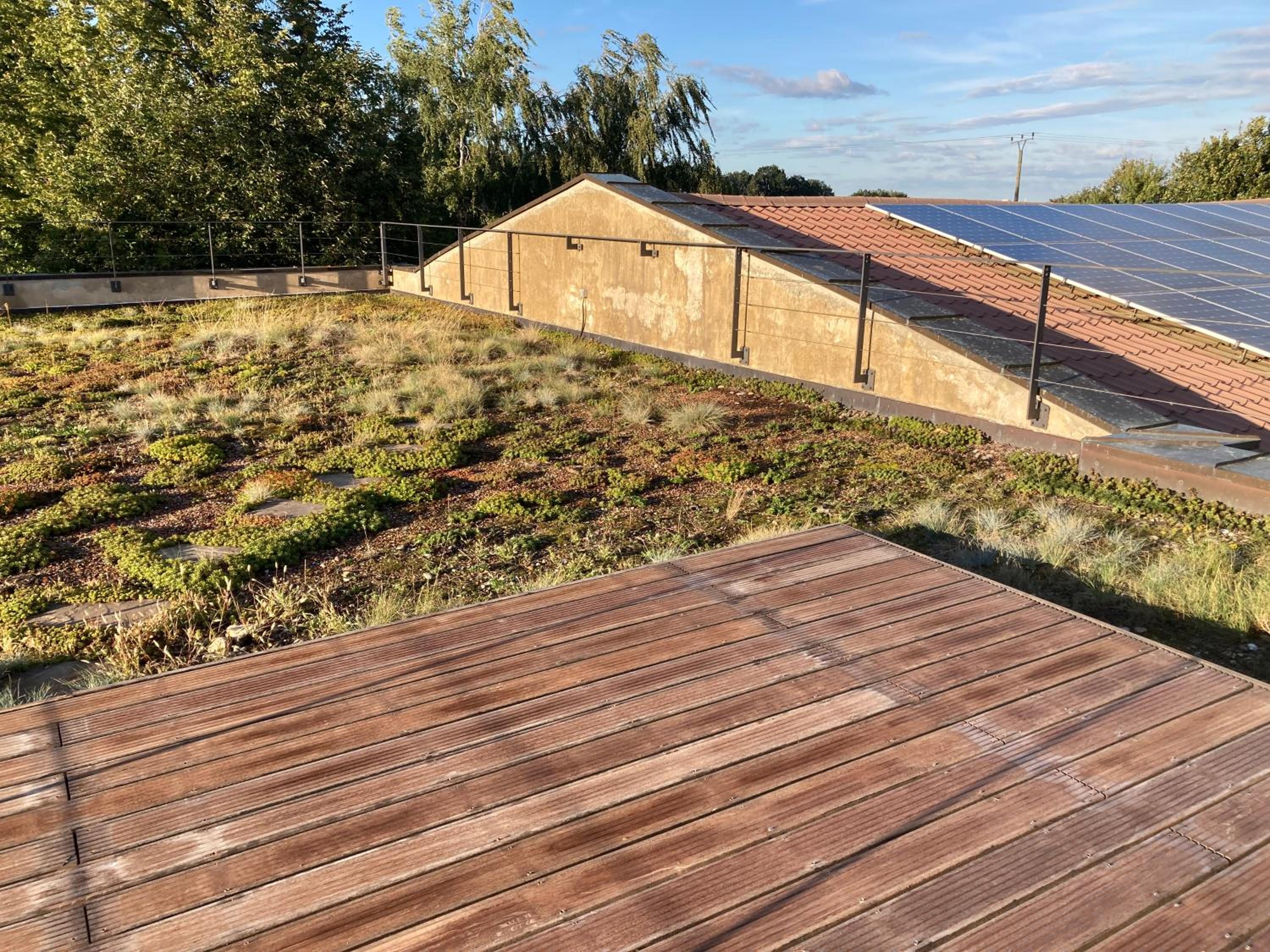 roof