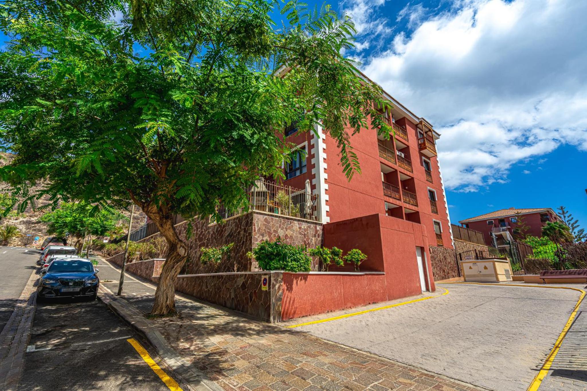 As de Casas - El Mocan - Palmmar view 4