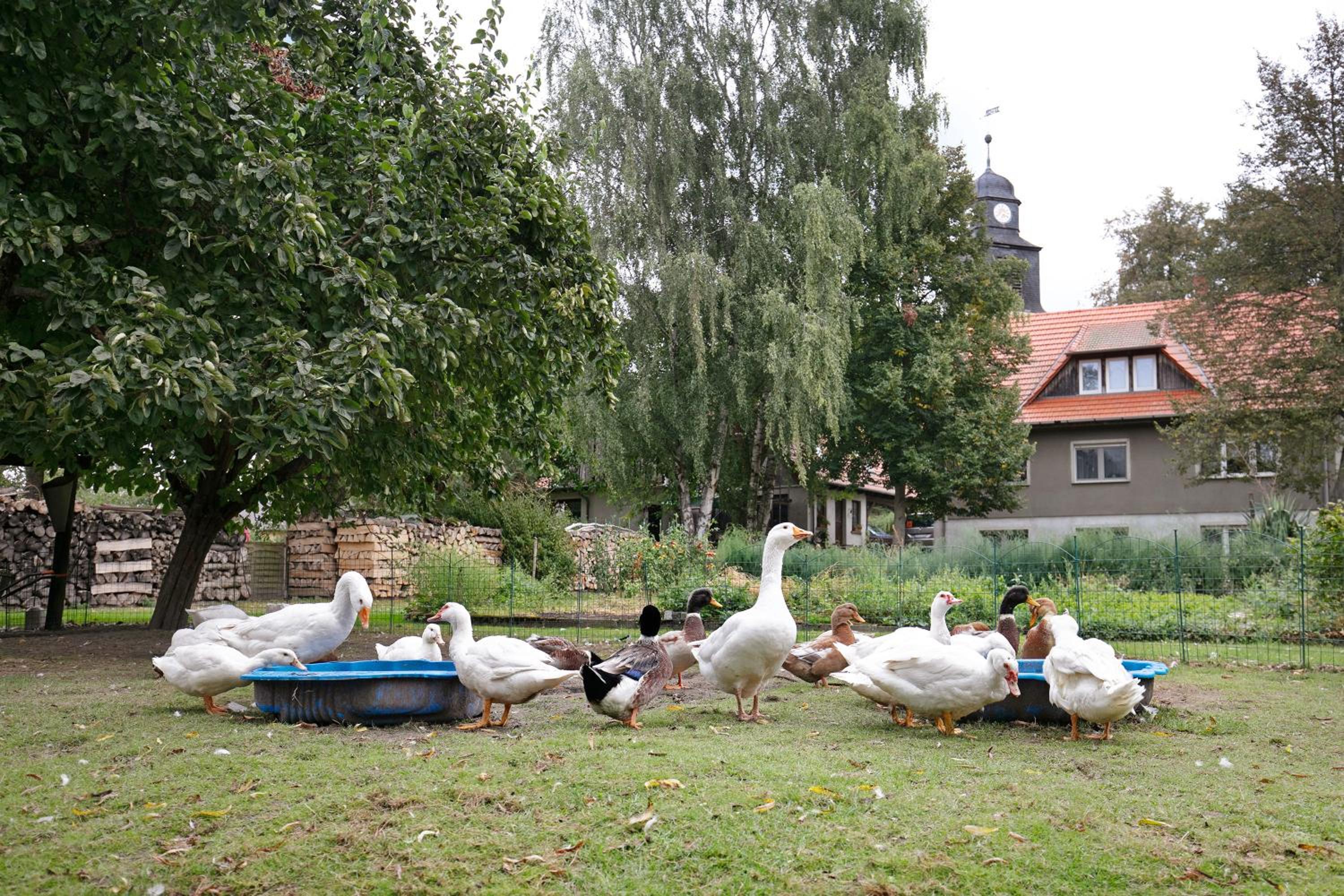 Ferienwohnung Shaun